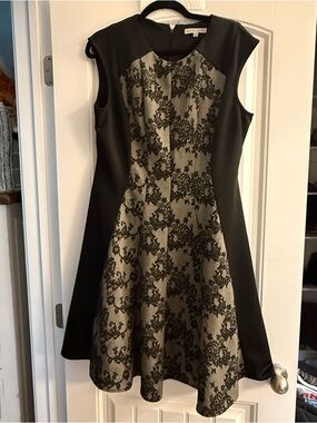 Sandra Darren Black Dress with Gold Lace Front Panel